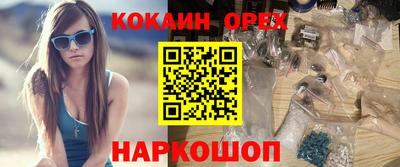 индика Боровичи