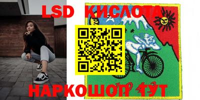 индика Боровичи