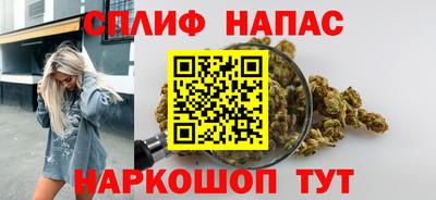 индика Боровичи