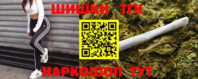 индика Боровичи