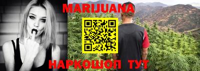 индика Боровичи