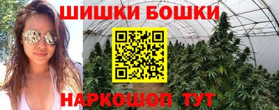 индика Боровичи