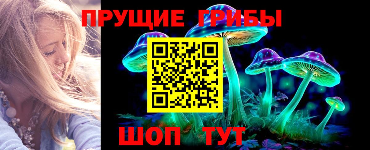 Галлюциногенные грибы Psilocybine cubensis Гулькевичи