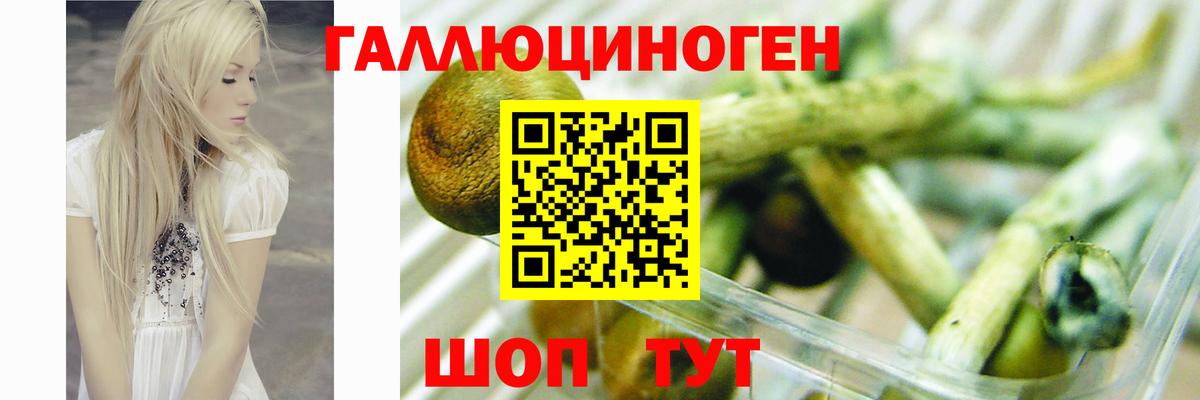 Галлюциногенные грибы Cubensis  Вход с VPN  Гулькевичи 
